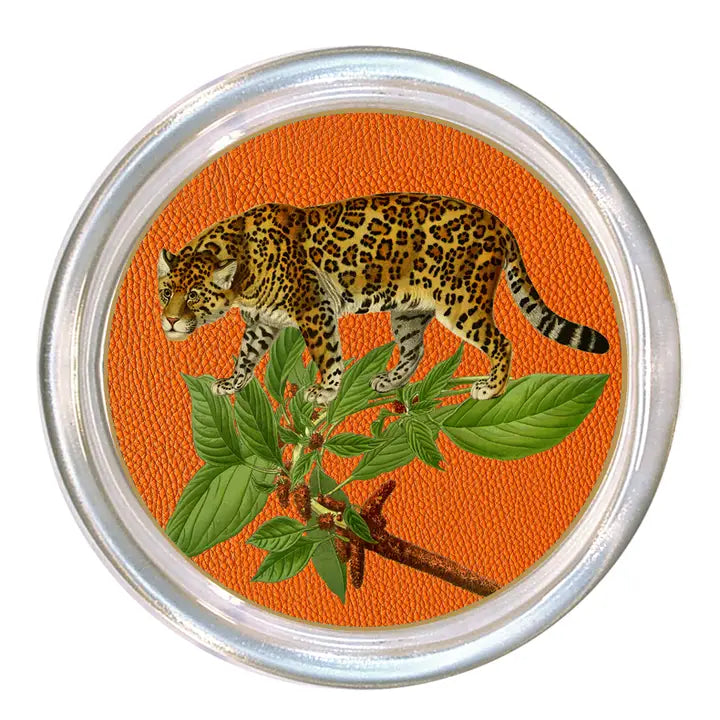 Tiger Coasters Glass Set of 4