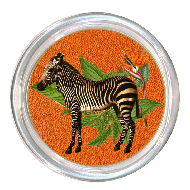 Zebra Coasters Glass Set of 4