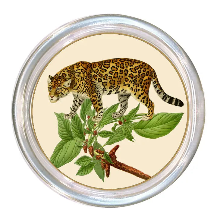 Tiger Coasters Glass Set of 4