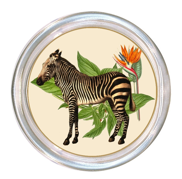 Zebra Coasters Glass Set of 4