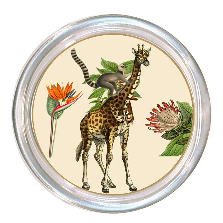 Giraffe Coasters Glass Set of 4