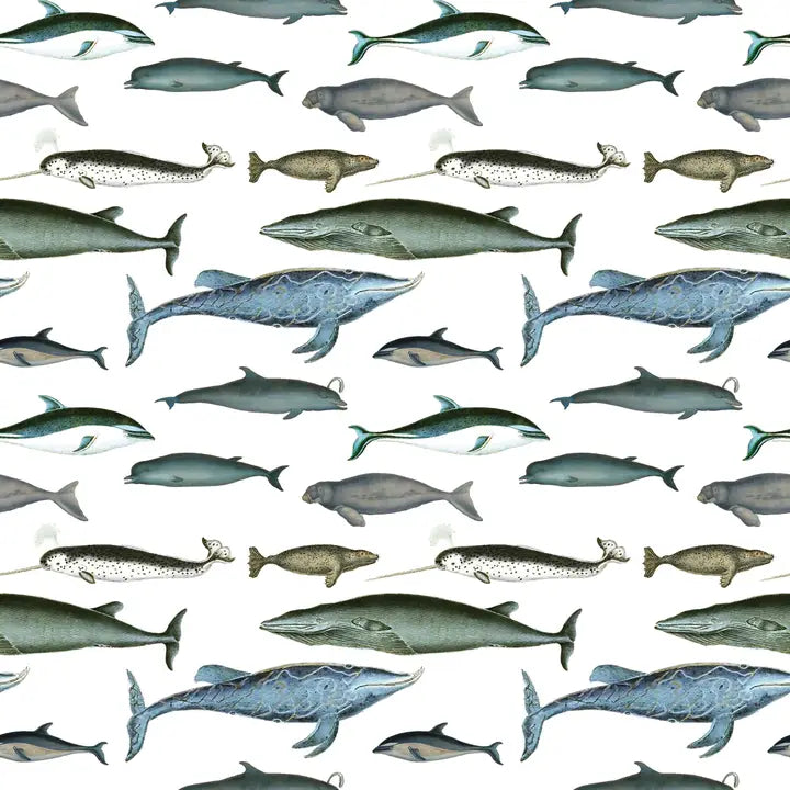 Gift Wrap Sheets Whales