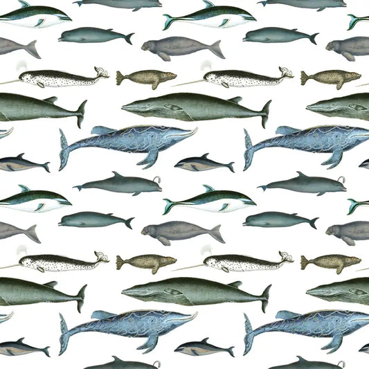 Gift Wrap Sheets Whales