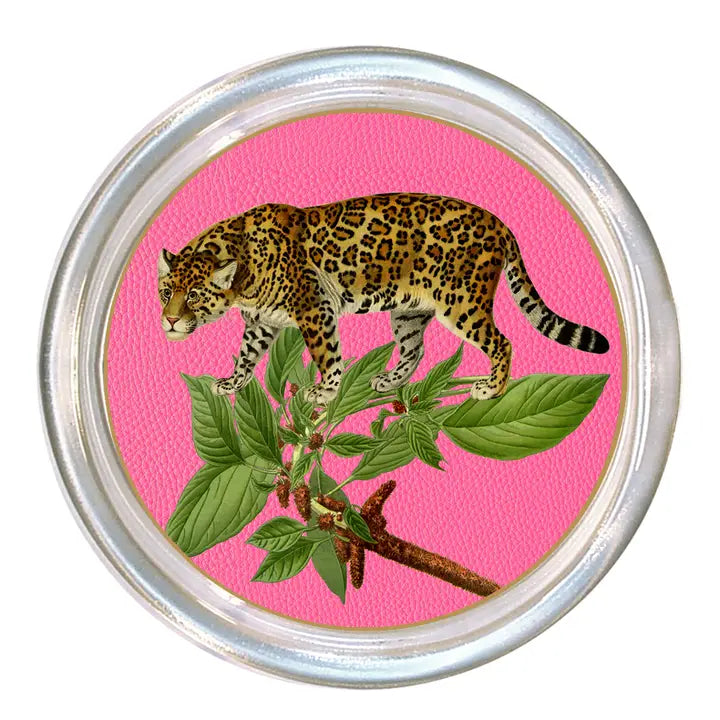 Tiger Coasters Glass Set of 4