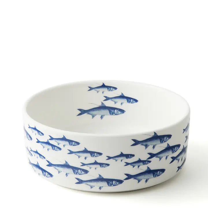 School of Blue Fish Dog Bowl