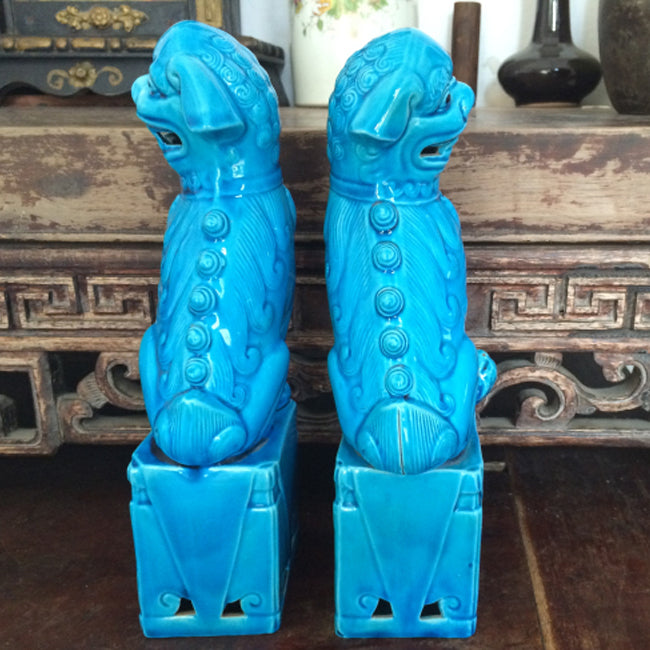 Feng Shui Foo Dogs Set of Two in Bright Blue