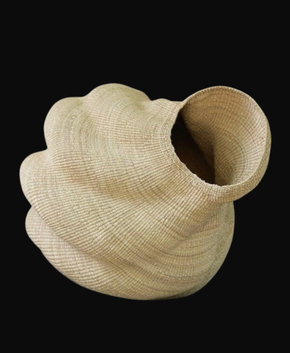 Twisted " Shell " Ghana Basket in Natural